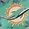 Miami Dolphins Painting