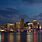 Miami Florida City at Night