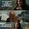 Middle Earth Memes