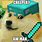 Minecraft Doge Meme