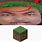 Minecraft Grass Block Meme