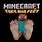 Minecraft Steve Feet
