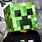Minecraft Steve Head Costume