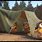 Minions Camping