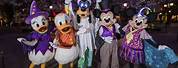 Minnie Mouse Halloween Costume Disney California Adventure