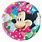 Minnie Mouse Plates