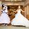 Minnie Mouse Wedding Dress
