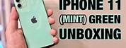 Mint iPhone 11 Mini