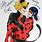 Miraculous Ladybug x CAT Noir