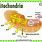 Mitochondria and Cellular Respiration