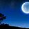 Moon Night Sky Desktop Wallpaper