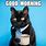 Morning Coffee Cat