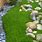 Moss Ground Cover Plants