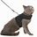 Most Secure Cat Harness
