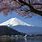 Mount Fuji 5 Lakes