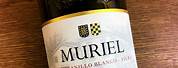 Muriel Wine Rioja