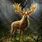 Mythical Forest Deer