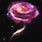 NASA Rose Galaxy