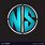 NS Logo Design