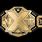 NXT Championship Belt