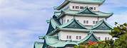 Nagoya Castle Attraction