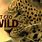 Nat Geo Wild Animal Shows