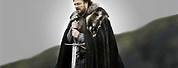 Ned Stark Winter Is Coming Meme
