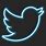 Neon Twitter Icon