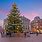 Netherlands Christmas Tree
