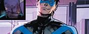 Nightwing Blue Suit