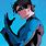 Nightwing Profile