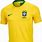 Nike Brazil Soccer Jersey