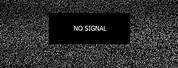 No Signal LCD TV