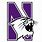 Northwestern Wildcats Football Logo