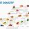 Nutrient-Dense Foods Chart