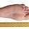 One Foot Measurement