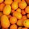 Orange Tropical Fruit