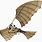 Ornithopter Flying Machine