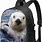 Otter Backpack