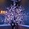 Outdoor Lighted Trees Artificial