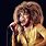 Paintings of Tina Turner