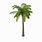 Palm Tree Render