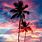 Palm Trees Sunset iPhone Wallpaper
