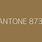 Pantone 873 C