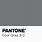 Pantone Cool Gray 9