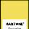Pantone Illuminating Yellow