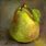 Pear Painting