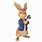 Peter Rabbit Cartoon