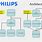 Philips Organizational Structure