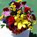 Photo of Flowers Bouquet
